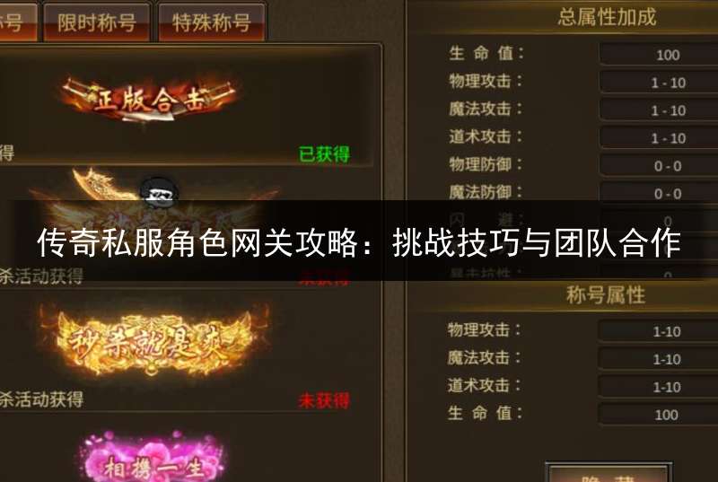 传奇私服角色网关攻略：挑战技巧与团队合作